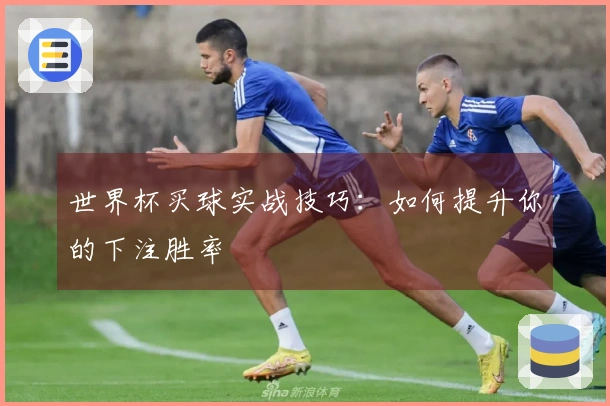 世界杯买球实战技巧：如何提升你的下注胜率