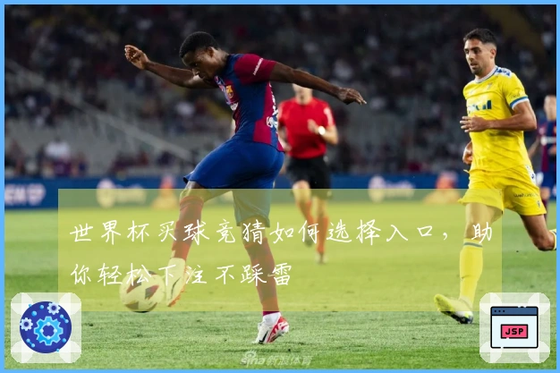 世界杯买球竞猜如何选择入口，助你轻松下注不踩雷