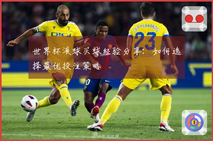 世界杯滚球买球经验分享：如何选择最优投注策略