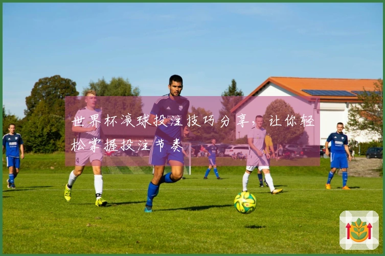 世界杯滚球投注技巧分享，让你轻松掌握投注节奏