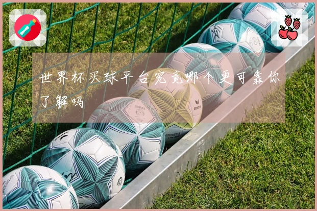 世界杯买球平台究竟哪个更可靠你了解吗