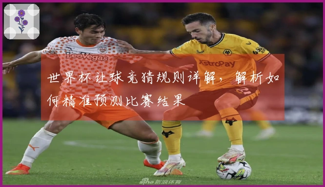 世界杯让球竞猜规则详解，解析如何精准预测比赛结果