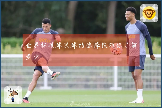 世界杯滚球买球的选择技巧你了解多少