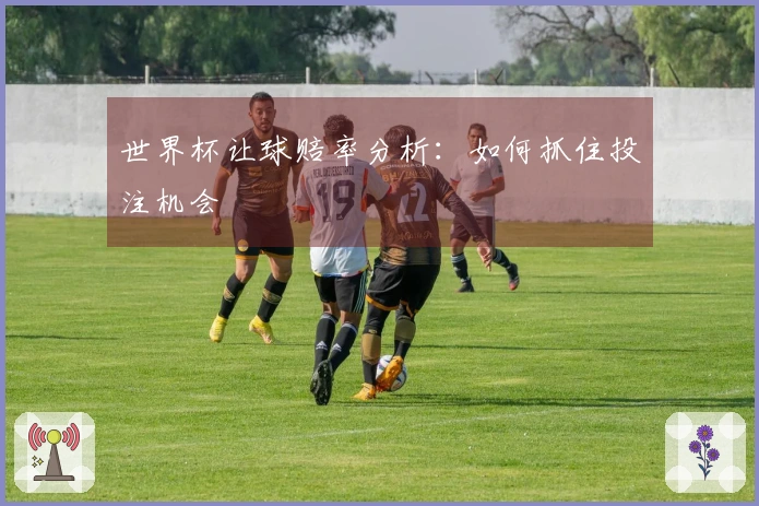 世界杯让球赔率分析：如何抓住投注机会