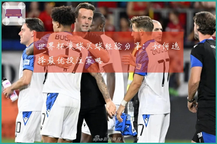 世界杯滚球买球经验分享：如何选择最优投注策略