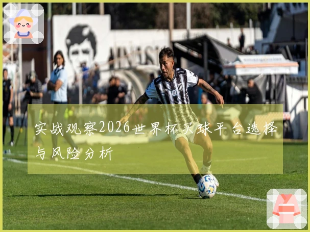实战观察2026世界杯买球平台选择与风险分析