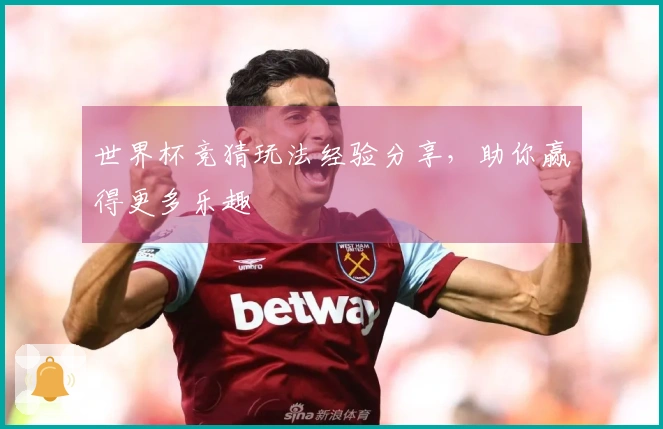 世界杯竞猜玩法经验分享，助你赢得更多乐趣