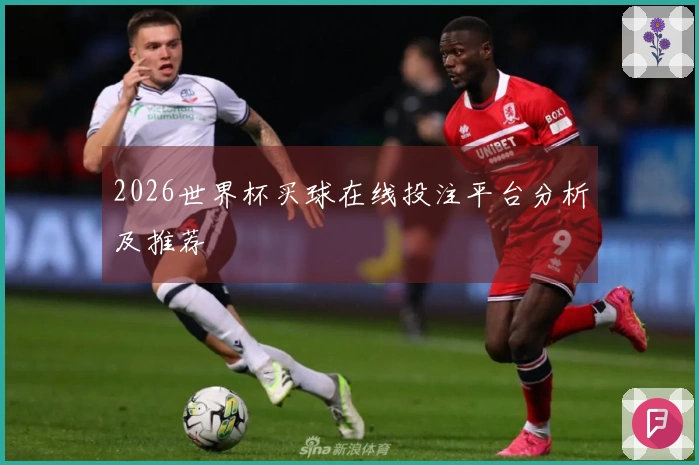 2026世界杯买球在线投注平台分析及推荐