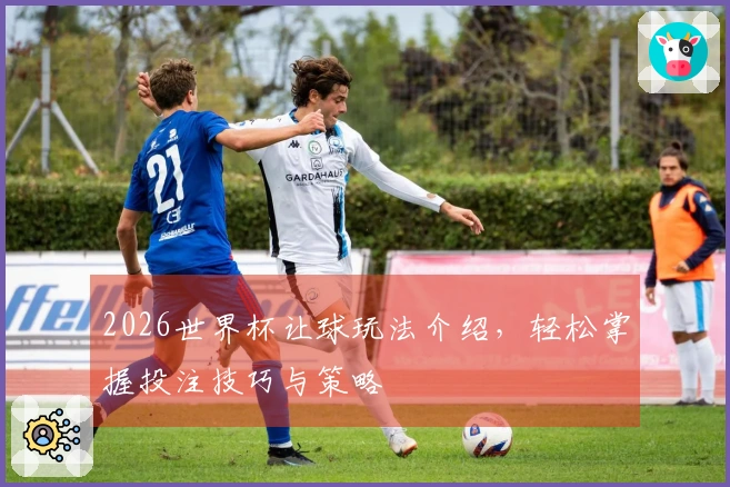 2026世界杯让球玩法介绍，轻松掌握投注技巧与策略