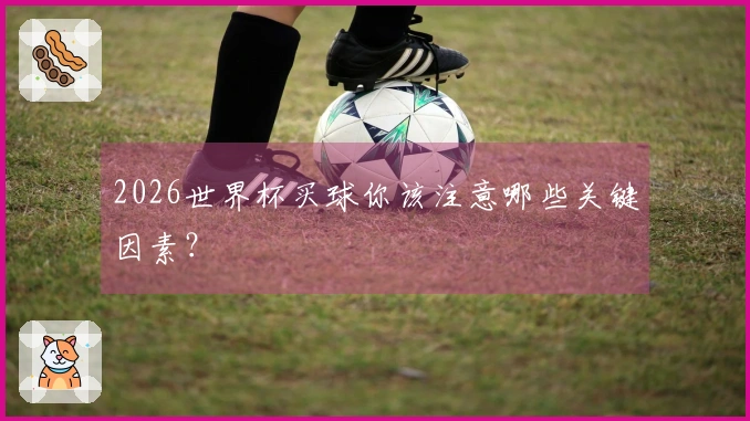 2026世界杯买球你该注意哪些关键因素？