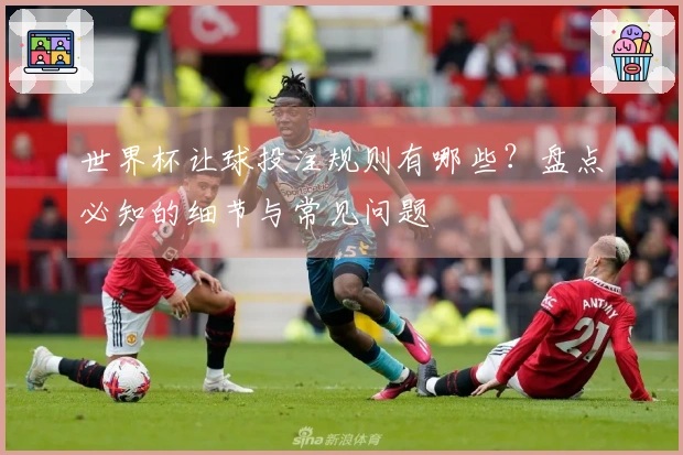 世界杯让球投注规则有哪些？盘点必知的细节与常见问题